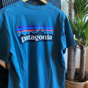 PATAGONIA MENS GRAPHIC TEE MED
